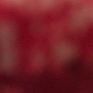 Meet your Posher, Maggie